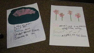 Original poetry created by Kindergarten.