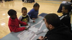 Students learn about the different bones in our body.