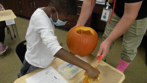 A student outs her seeds onto a napkin for counting