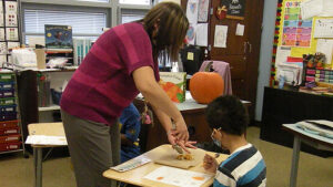 A student gets his seeds to count