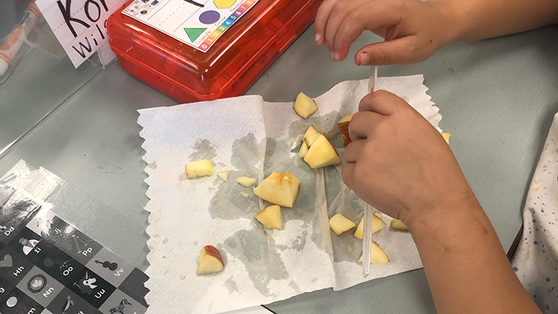 A student finishes cutting up her apple.