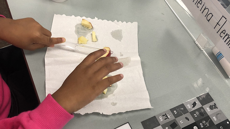 A student carefully cuts her apple slices.