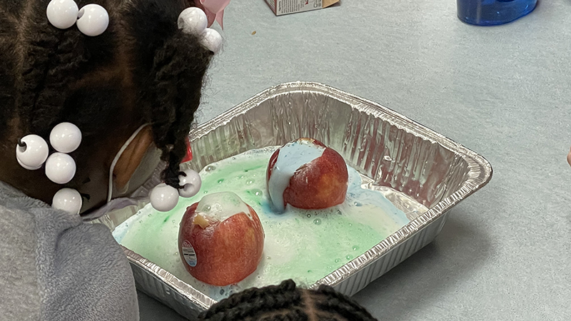 Students watch the reaction of the baking soda and vinegar.