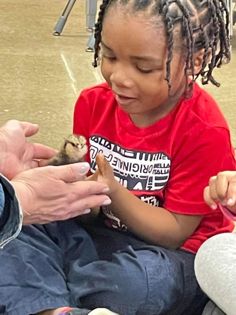 A student gently taking a baby chick from his teacher.