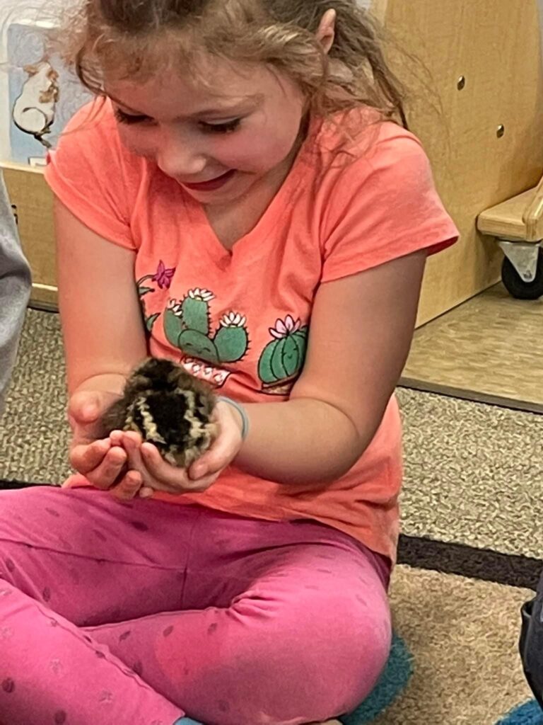 A student holds a chick for the first time.
