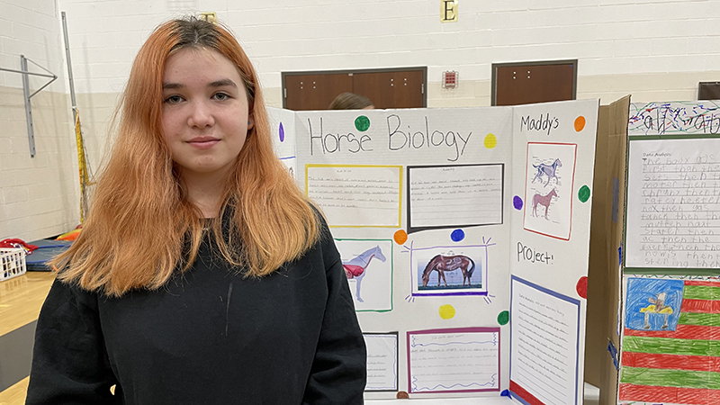 A student with their project about horse biology.