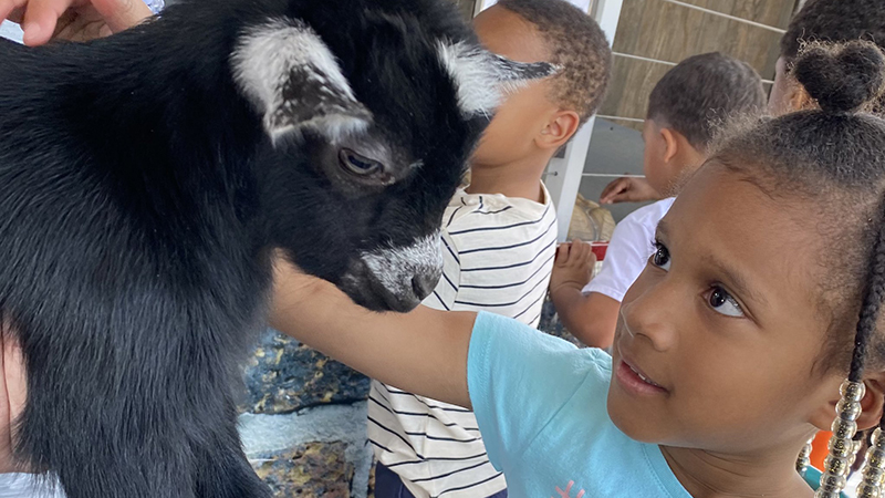 Petting Zoo Visits Jefferson