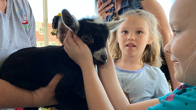 Students enjoy visiting with a baby goat.