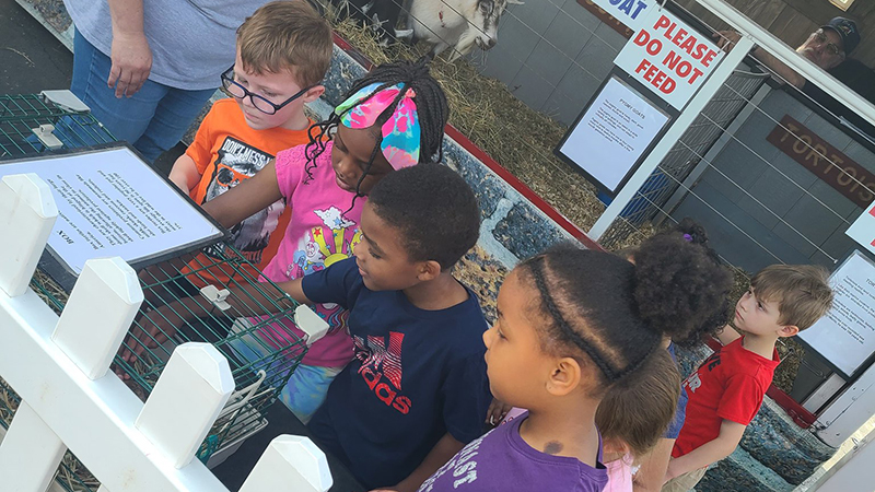 Students look on as one of them pets a bunny.