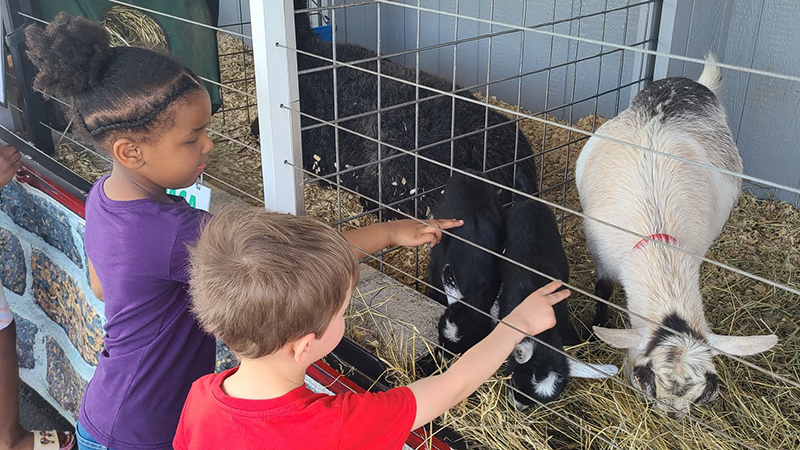 Two students gently pet the goats.