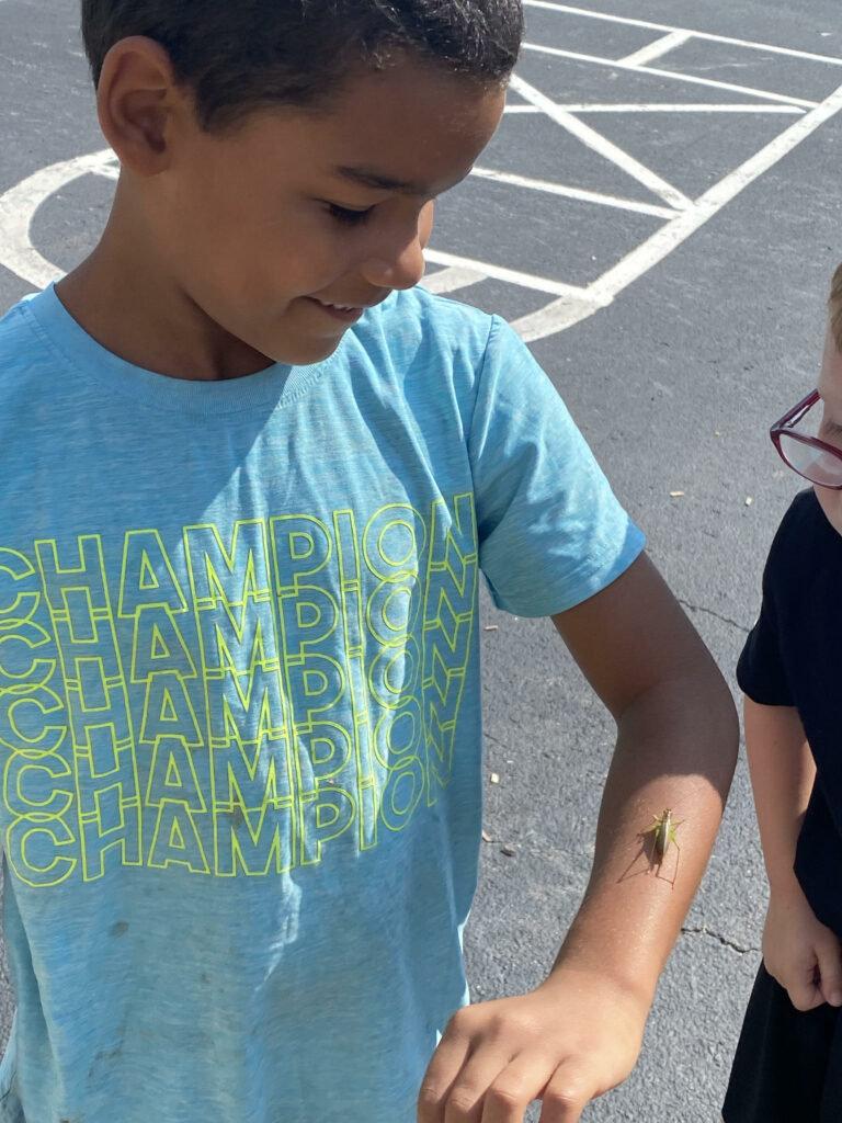 a grasshopper sits on a student's arm.