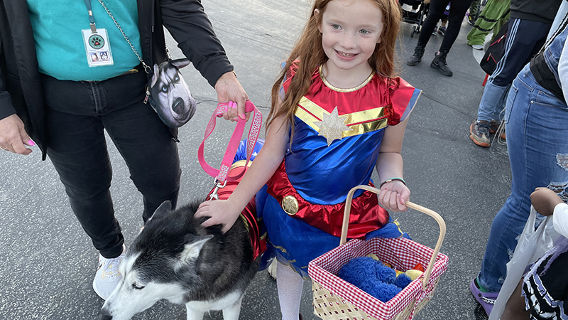 A Jefferson student visiting with one of the therapy dogs at the event.