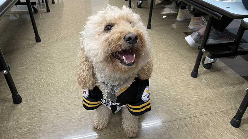 Cooper, our therapy dog, visits with students during the bingo game.