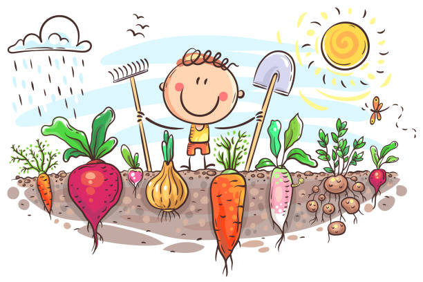 little boy with shovel and various vegetables and roots