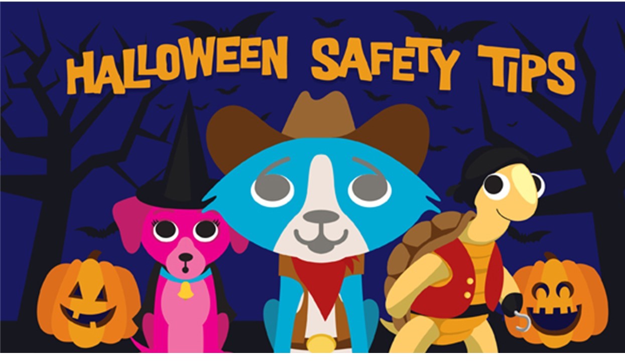 Halloween Safety Tips!