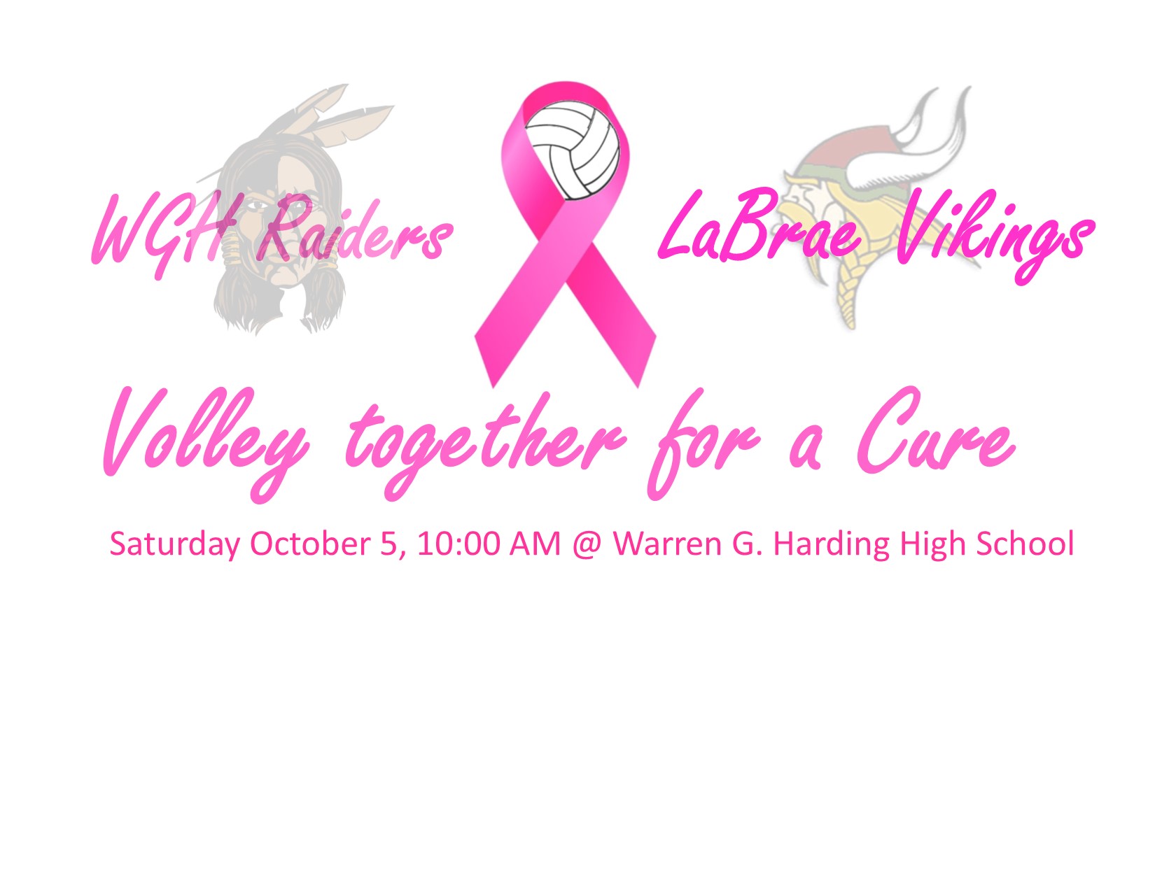 Volley for a Cure!