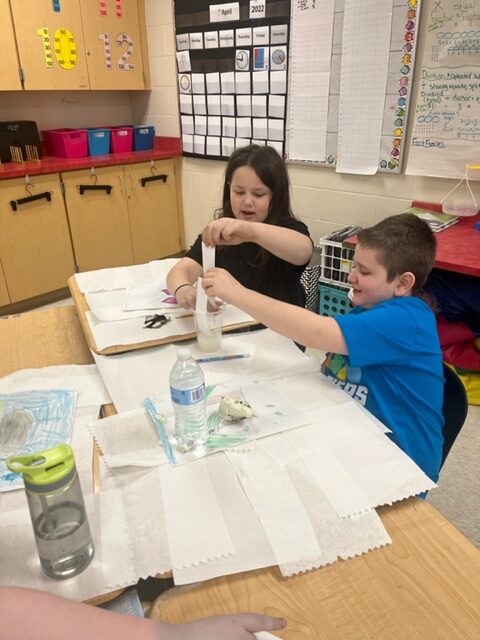 Miss Rieser & Ms. T’s 3rd Grade Science Lesson
