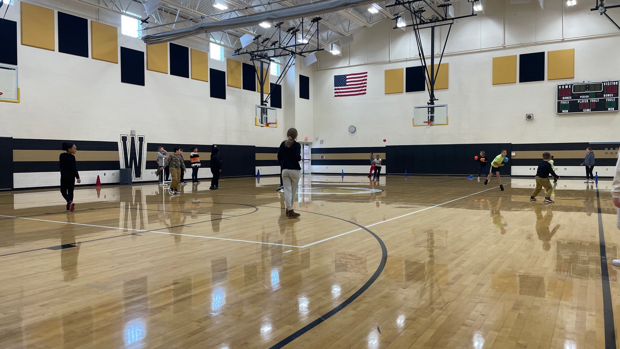 Pin Knock Down Willard PK8