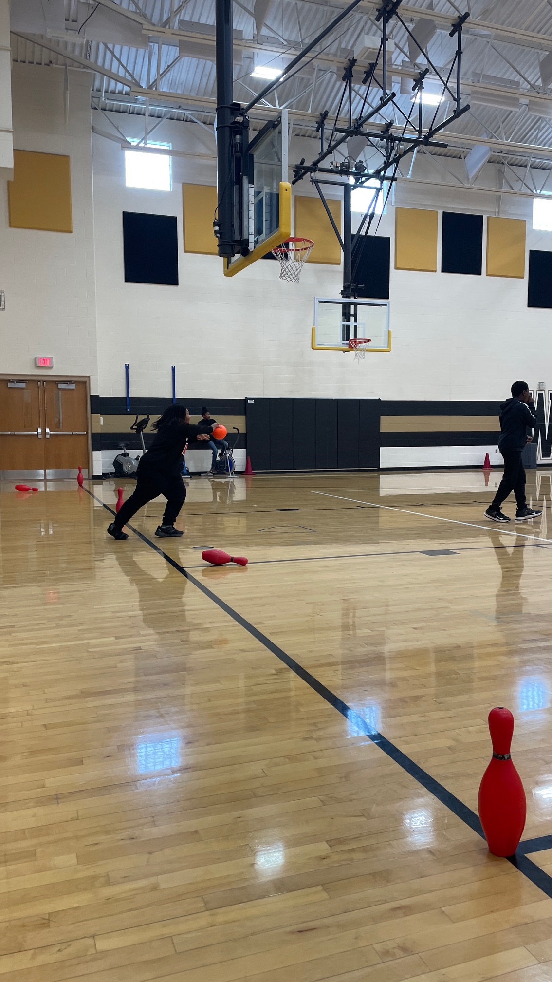 Pin Knock Down Willard PK8