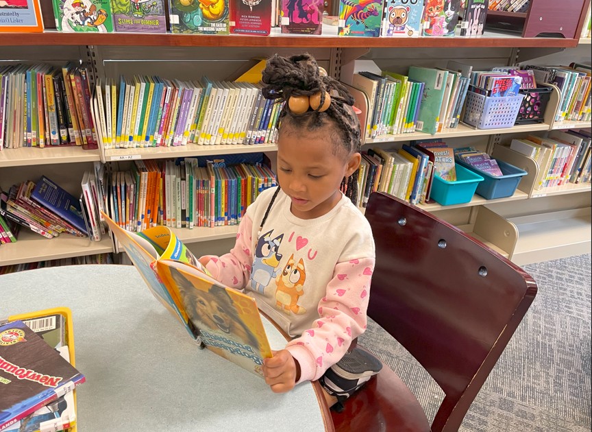 A kindergarten student reads her library book.