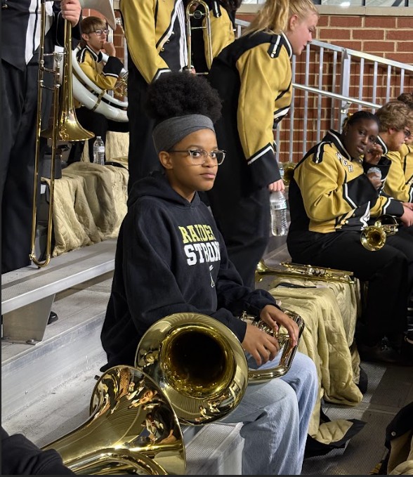 Ready to play in the stands.