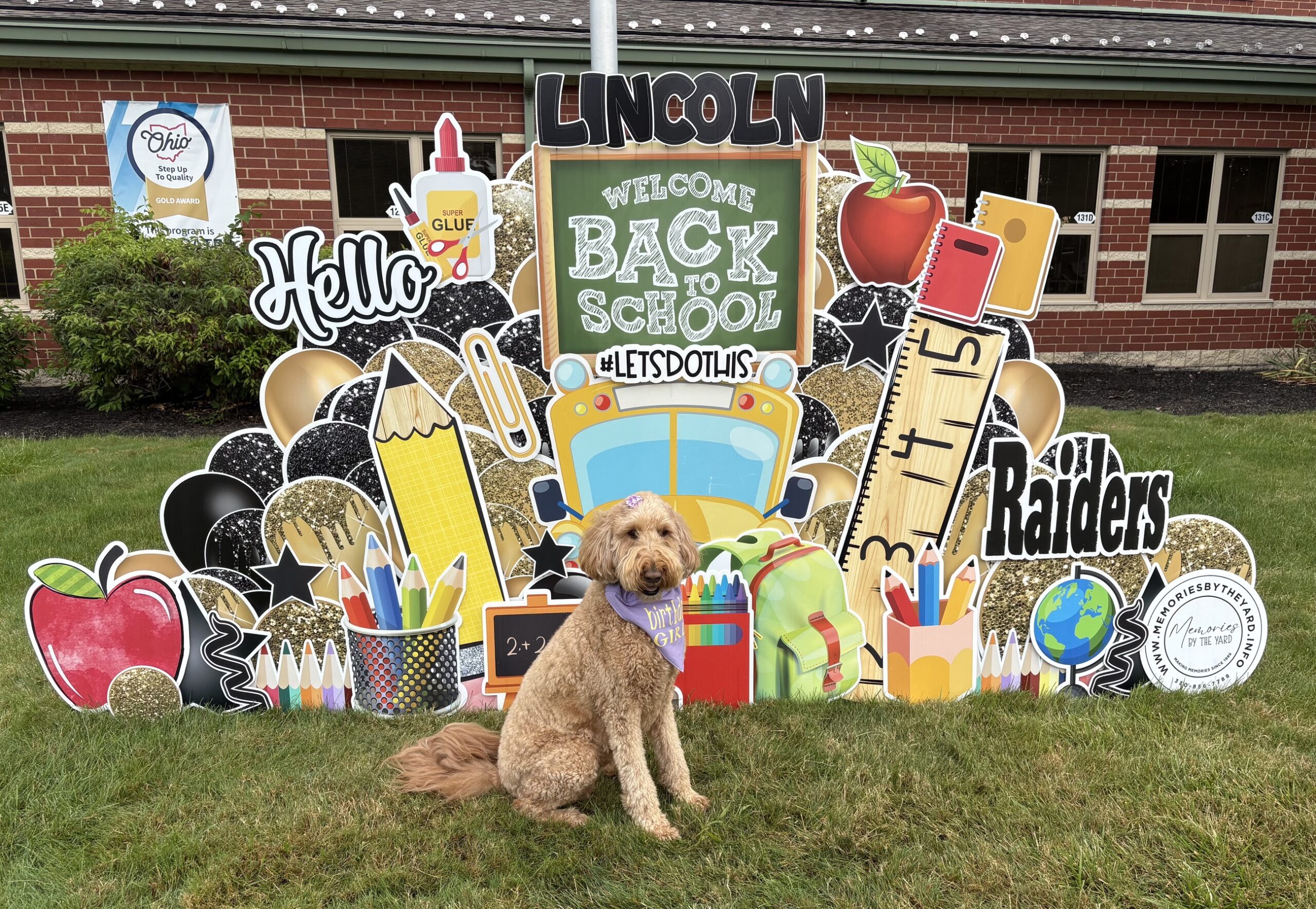apples, rulers, chalkboard, various school items and dog with welcome back sign